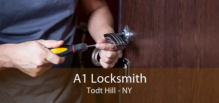 A1 Locksmith Todt Hill - NY