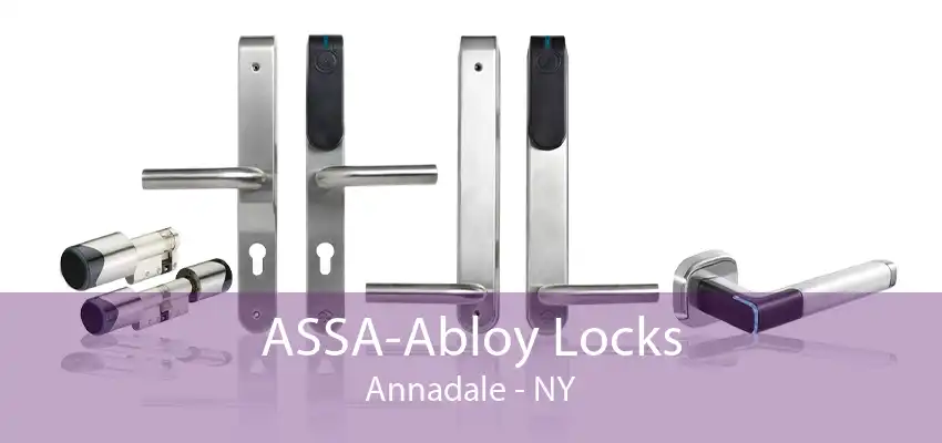 ASSA-Abloy Locks Annadale - NY