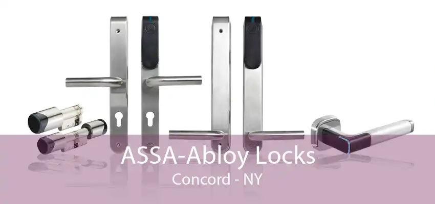 ASSA-Abloy Locks Concord - NY