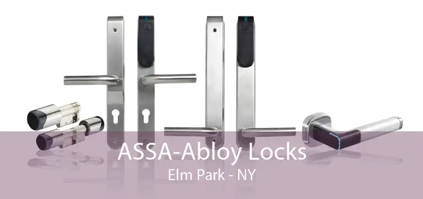 ASSA-Abloy Locks Elm Park - NY