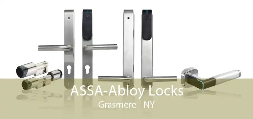 ASSA-Abloy Locks Grasmere - NY