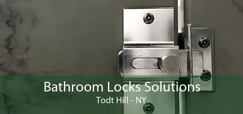 Bathroom Locks Solutions Todt Hill - NY