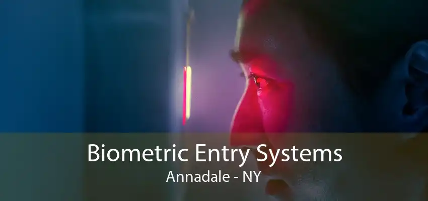 Biometric Entry Systems Annadale - NY