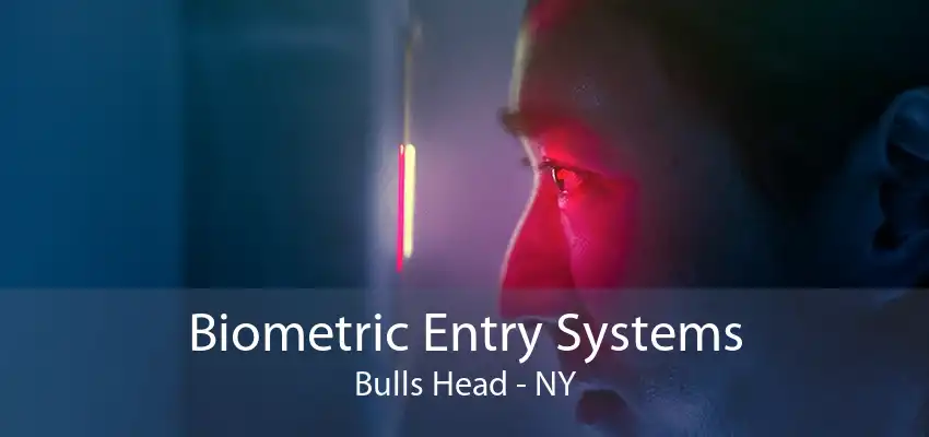 Biometric Entry Systems Bulls Head - NY