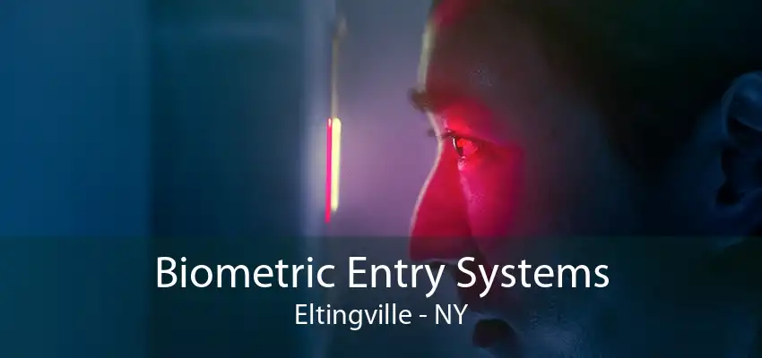 Biometric Entry Systems Eltingville - NY