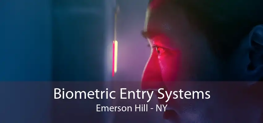 Biometric Entry Systems Emerson Hill - NY