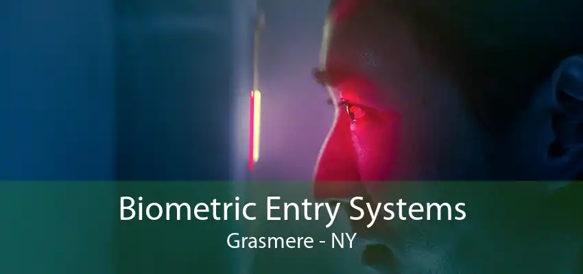 Biometric Entry Systems Grasmere - NY