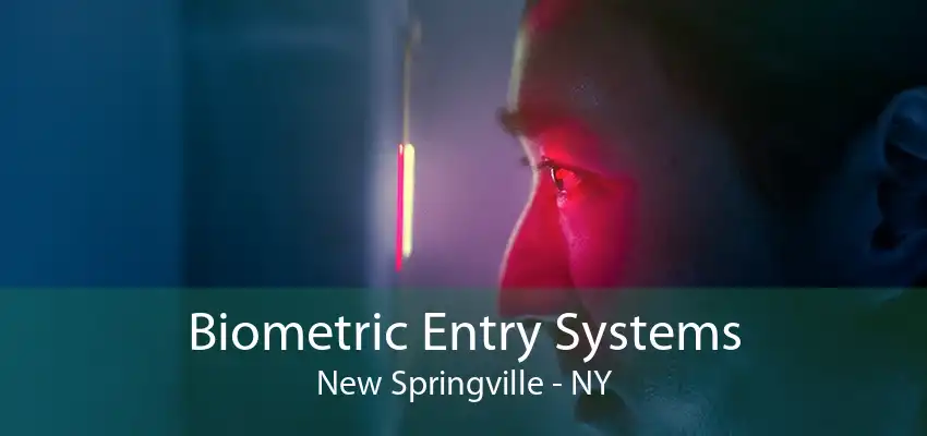 Biometric Entry Systems New Springville - NY