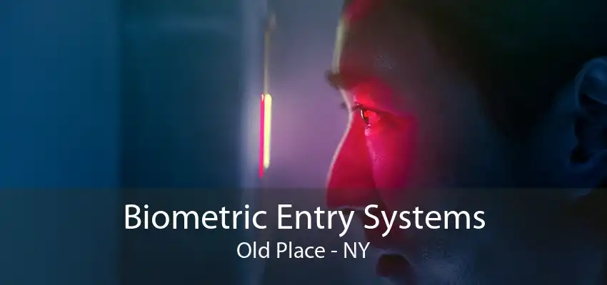 Biometric Entry Systems Old Place - NY