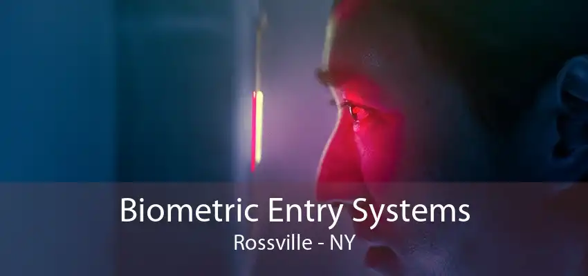 Biometric Entry Systems Rossville - NY