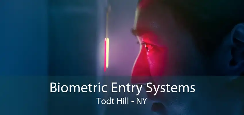 Biometric Entry Systems Todt Hill - NY