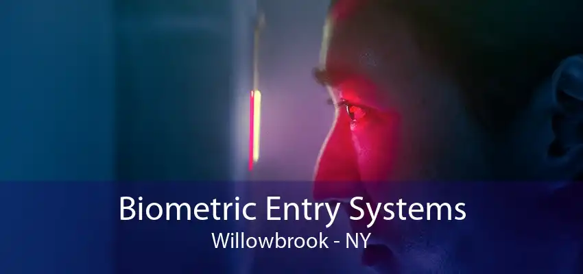 Biometric Entry Systems Willowbrook - NY