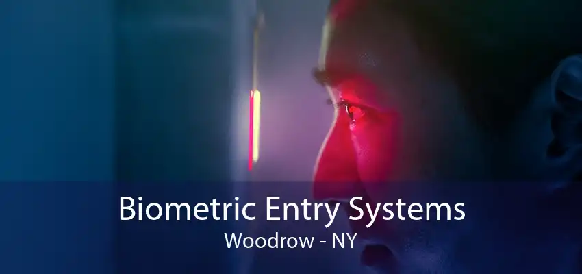 Biometric Entry Systems Woodrow - NY