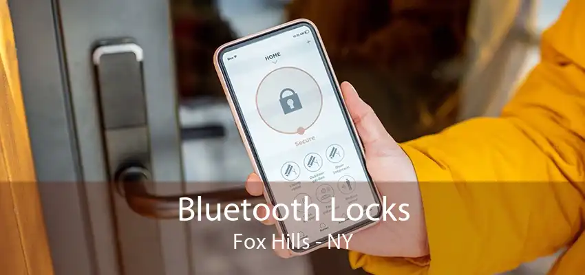 Bluetooth Locks Fox Hills - NY