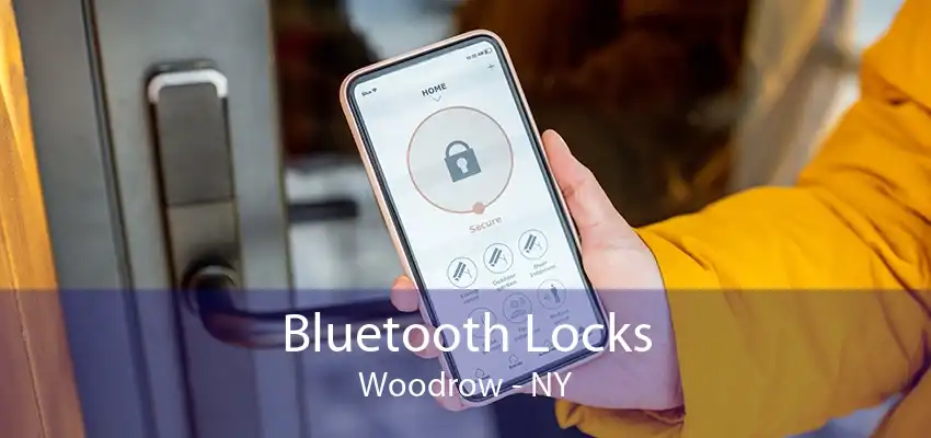 Bluetooth Locks Woodrow - NY