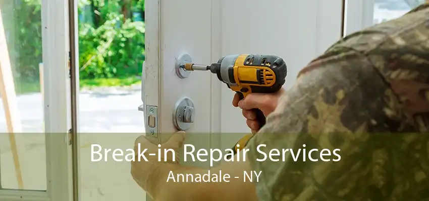 Break-in Repair Services Annadale - NY