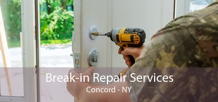 Break-in Repair Services Concord - NY