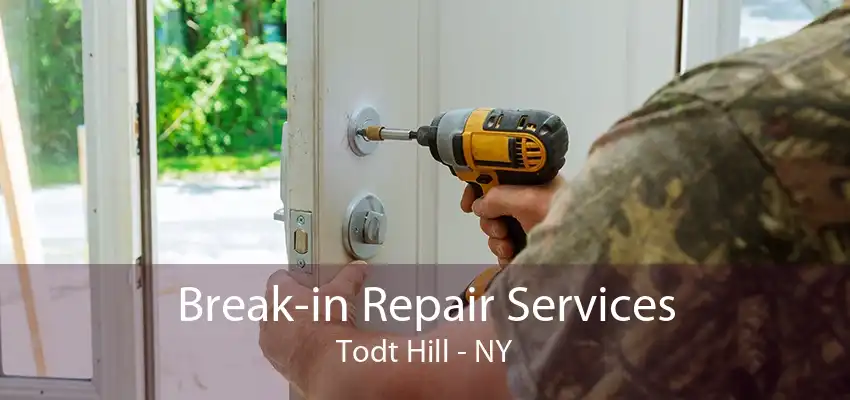 Break-in Repair Services Todt Hill - NY