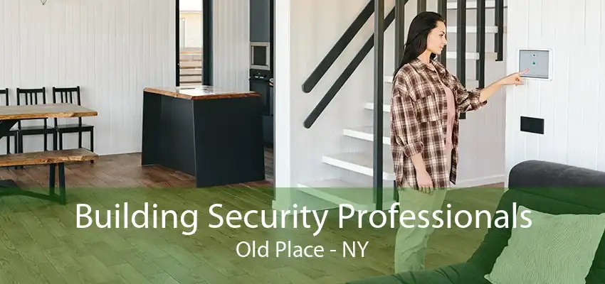 Building Security Professionals Old Place - NY