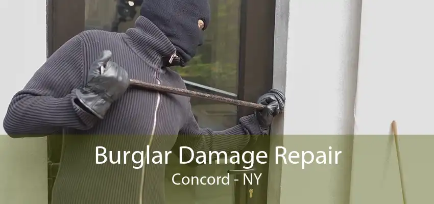 Burglar Damage Repair Concord - NY