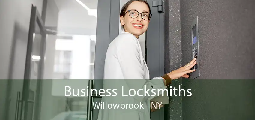 Business Locksmiths Willowbrook - NY