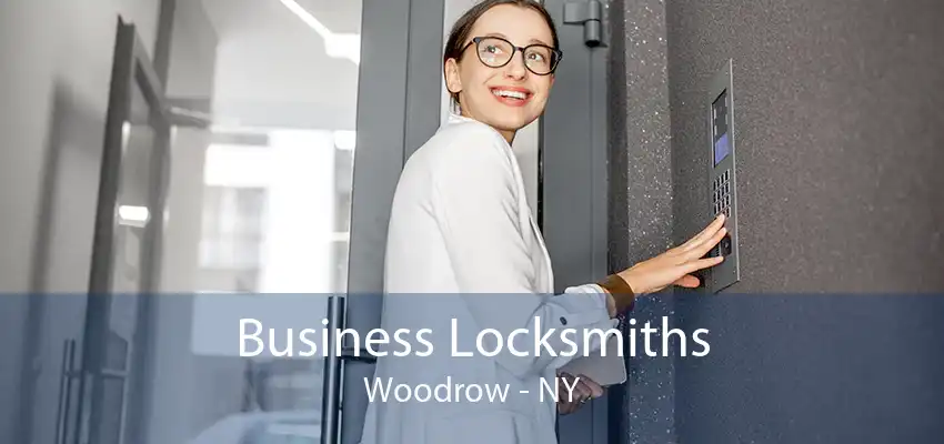 Business Locksmiths Woodrow - NY