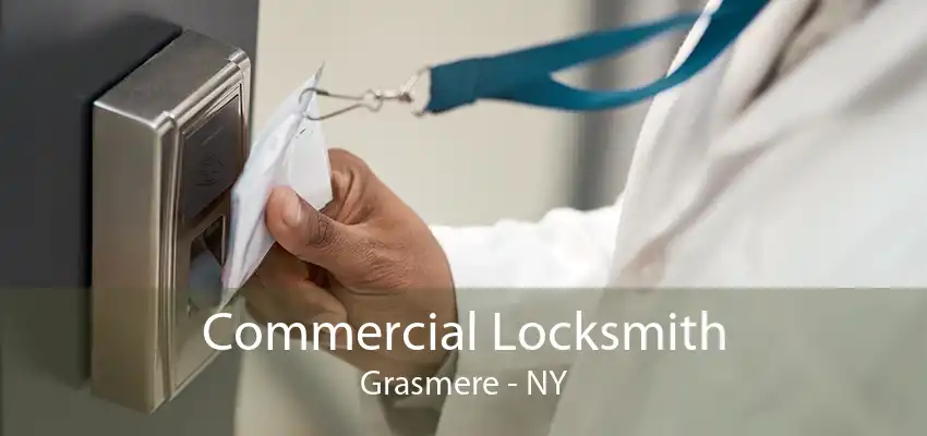 Commercial Locksmith Grasmere - NY