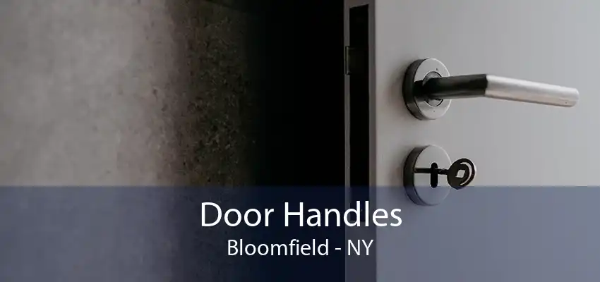 Door Handles Bloomfield - NY