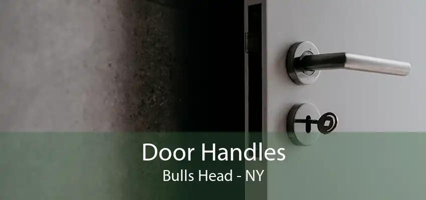 Door Handles Bulls Head - NY