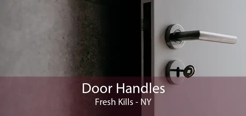 Door Handles Fresh Kills - NY