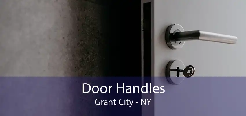 Door Handles Grant City - NY