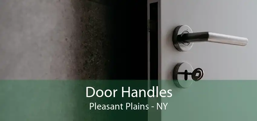 Door Handles Pleasant Plains - NY