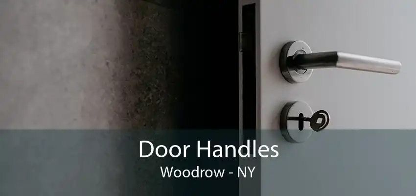 Door Handles Woodrow - NY