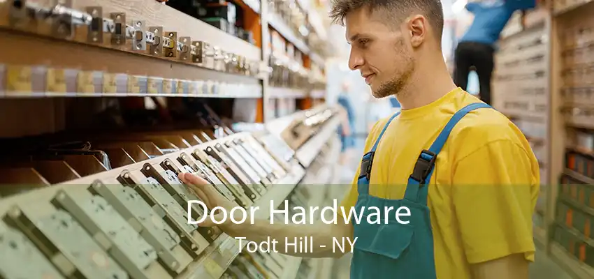 Door Hardware Todt Hill - NY