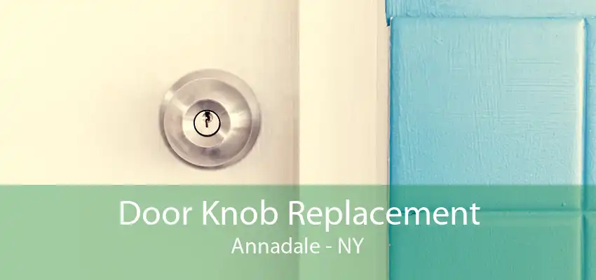 Door Knob Replacement Annadale - NY