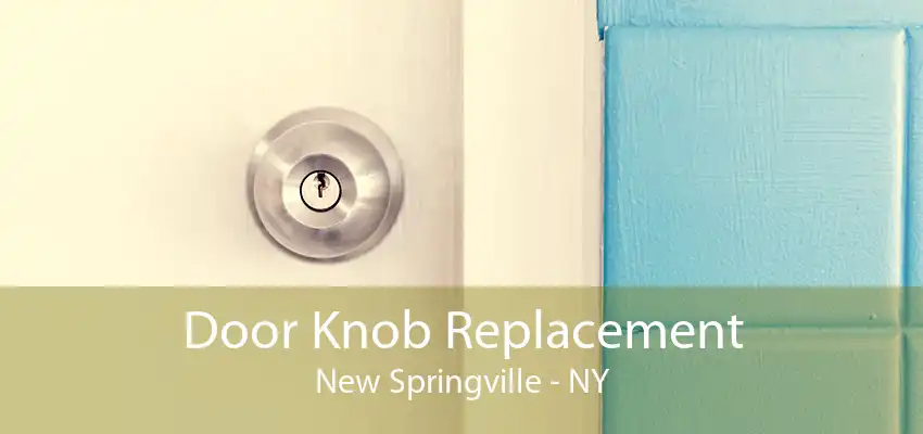 Door Knob Replacement New Springville - NY