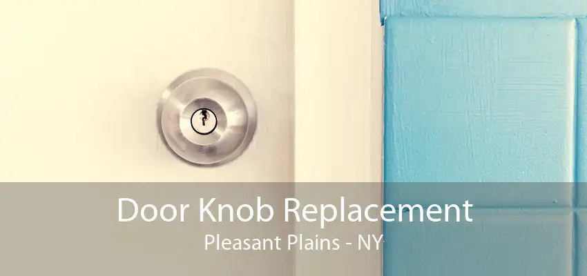 Door Knob Replacement Pleasant Plains - NY