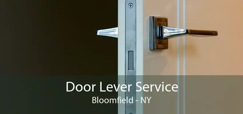 Door Lever Service Bloomfield - NY