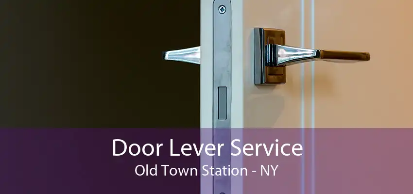 Door Lever Service Old Town Station - NY