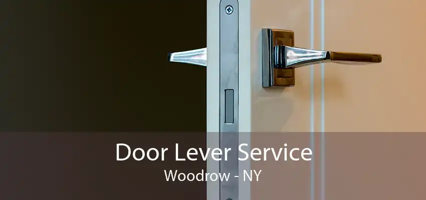 Door Lever Service Woodrow - NY