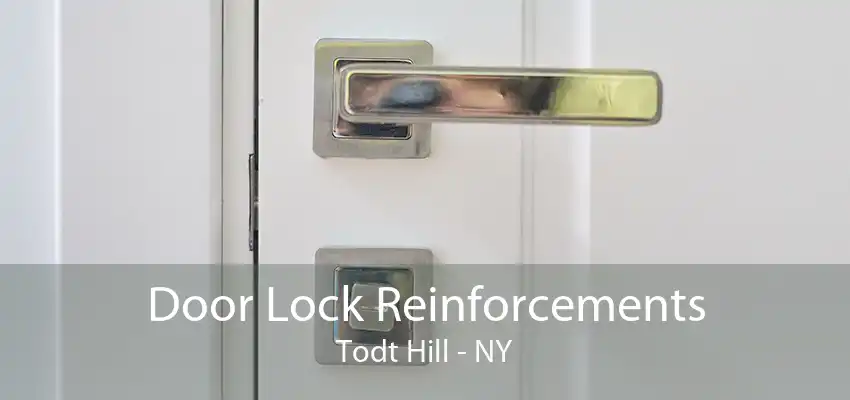 Door Lock Reinforcements Todt Hill - NY