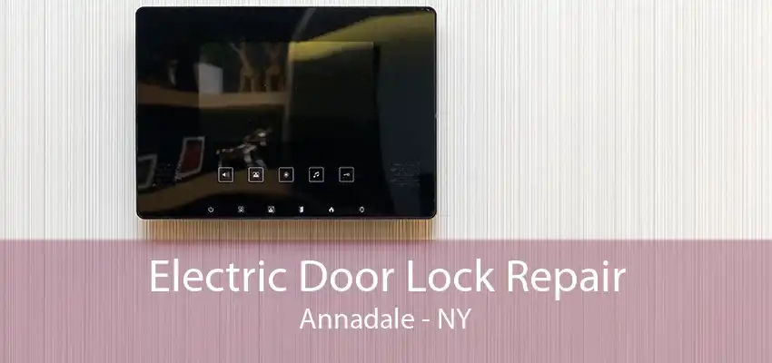 Electric Door Lock Repair Annadale - NY