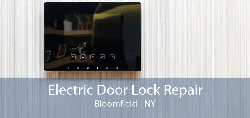 Electric Door Lock Repair Bloomfield - NY