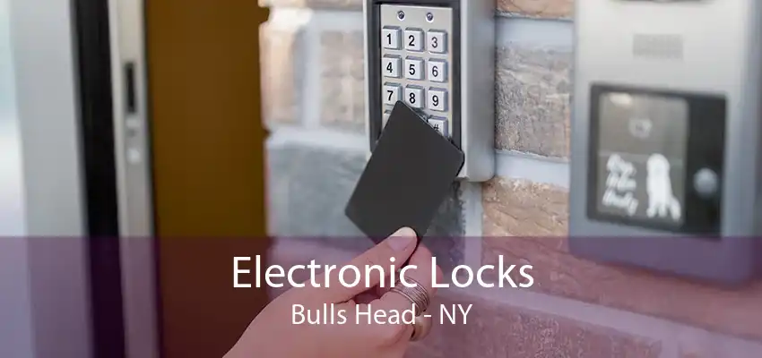 Electronic Locks Bulls Head - NY