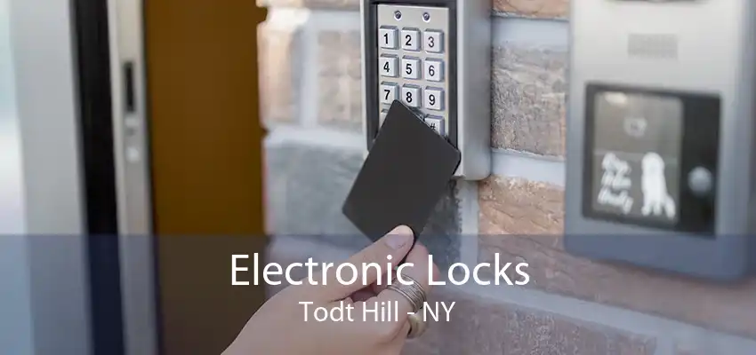 Electronic Locks Todt Hill - NY