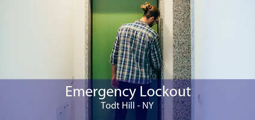 Emergency Lockout Todt Hill - NY