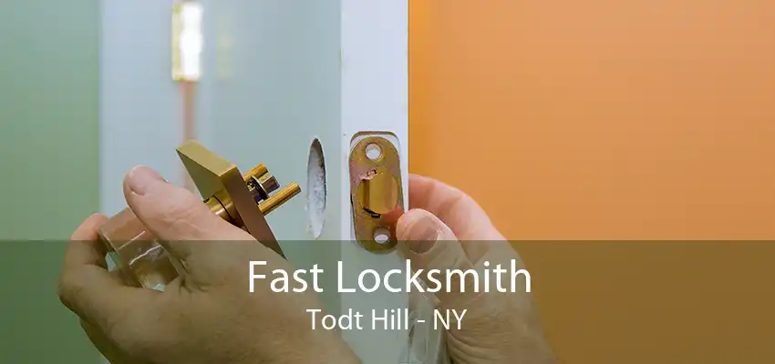 Fast Locksmith Todt Hill - NY