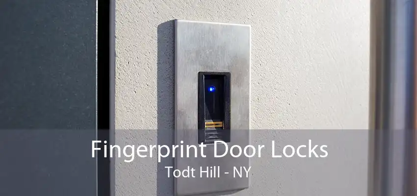 Fingerprint Door Locks Todt Hill - NY