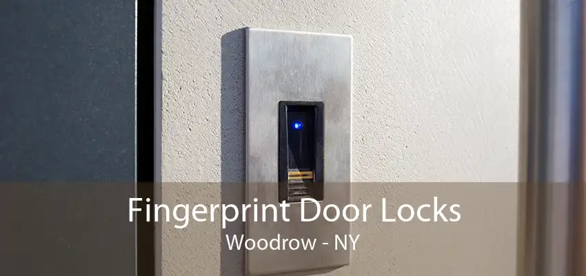 Fingerprint Door Locks Woodrow - NY