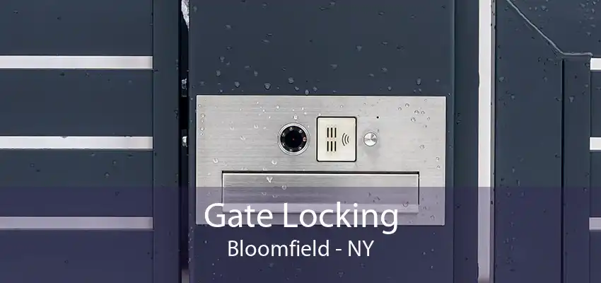 Gate Locking Bloomfield - NY